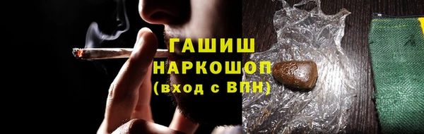 прущие грибы Бородино