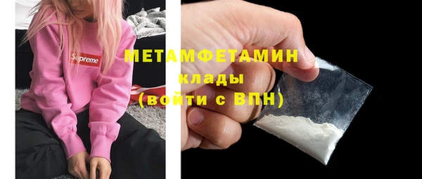 прущие грибы Бородино
