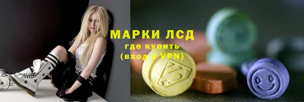 прущие грибы Бородино