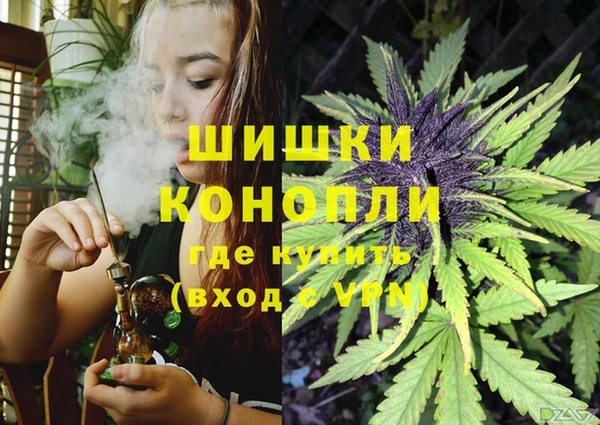 гидропоника Бугульма