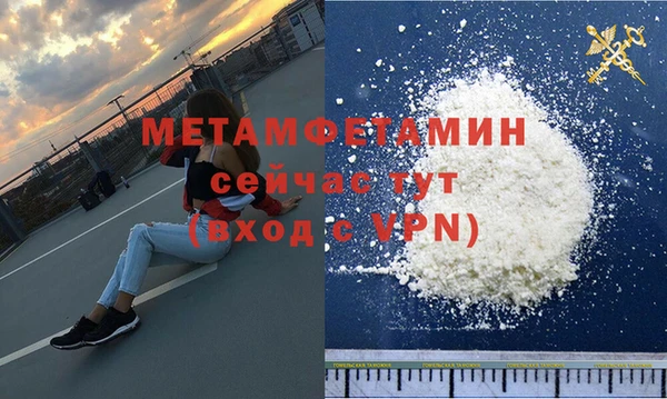 прущие грибы Бородино