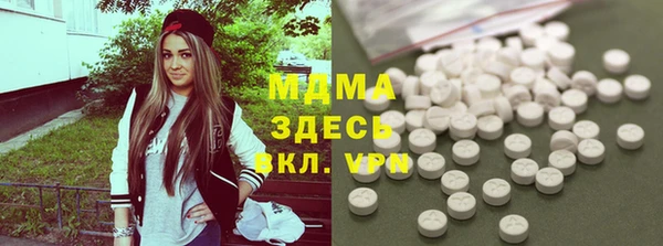 прущие грибы Бородино