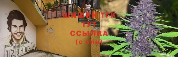 прущие грибы Бородино