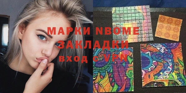 прущие грибы Бородино