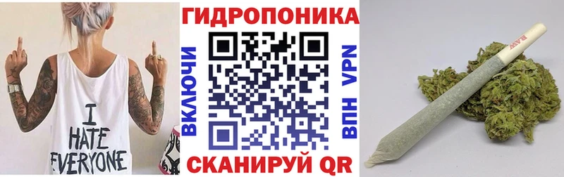 Купить закладки  Краснотурьинск  Канабис план 